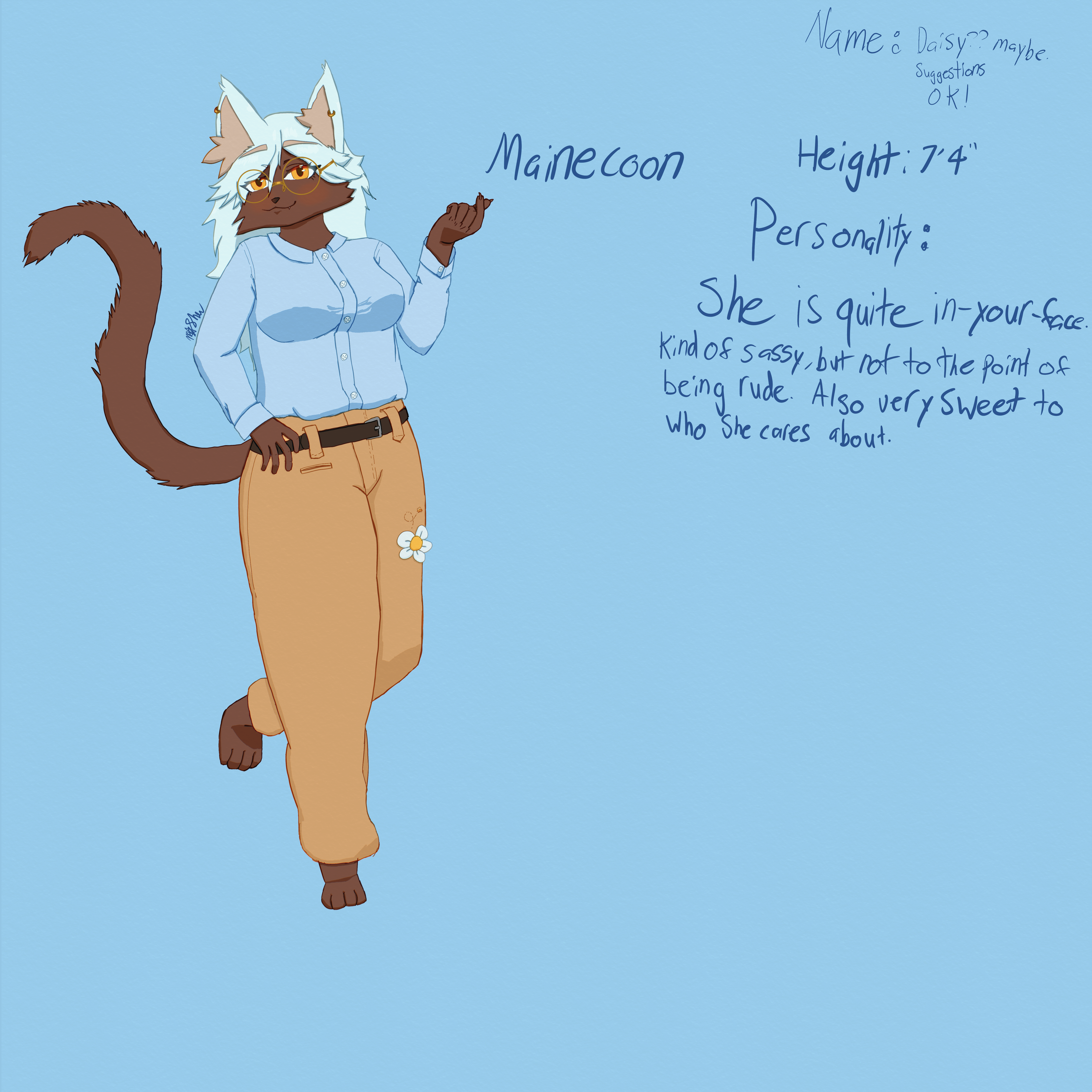 Character description with a brown maine coon cat in a light blue shirt and khaki pants with a flower on it.